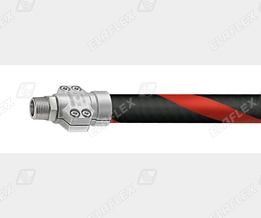 SVS25-1 SS SS cgi